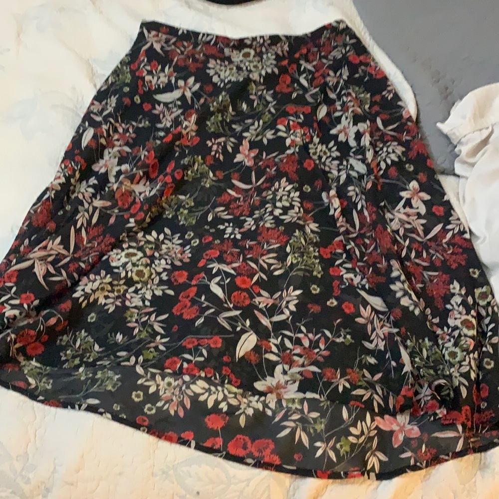 Established skirt